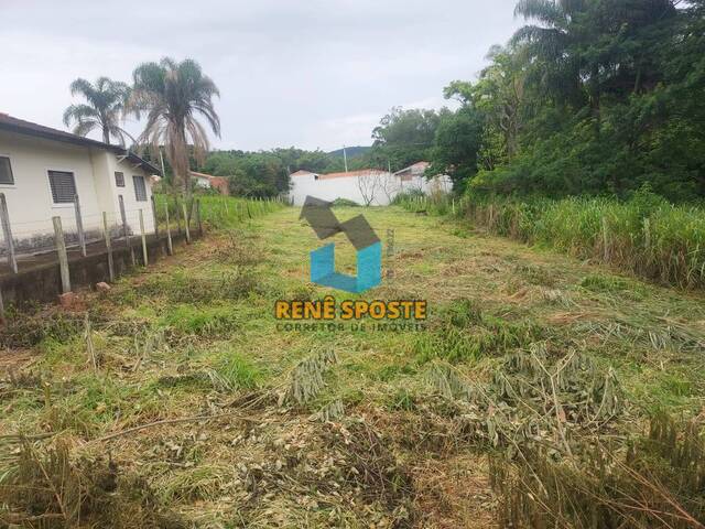 #TE789 - Terreno para Venda em São Pedro - SP - 2