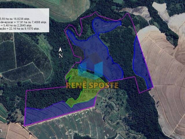 #ST809 - Sítio para Venda em São Pedro - SP - 1