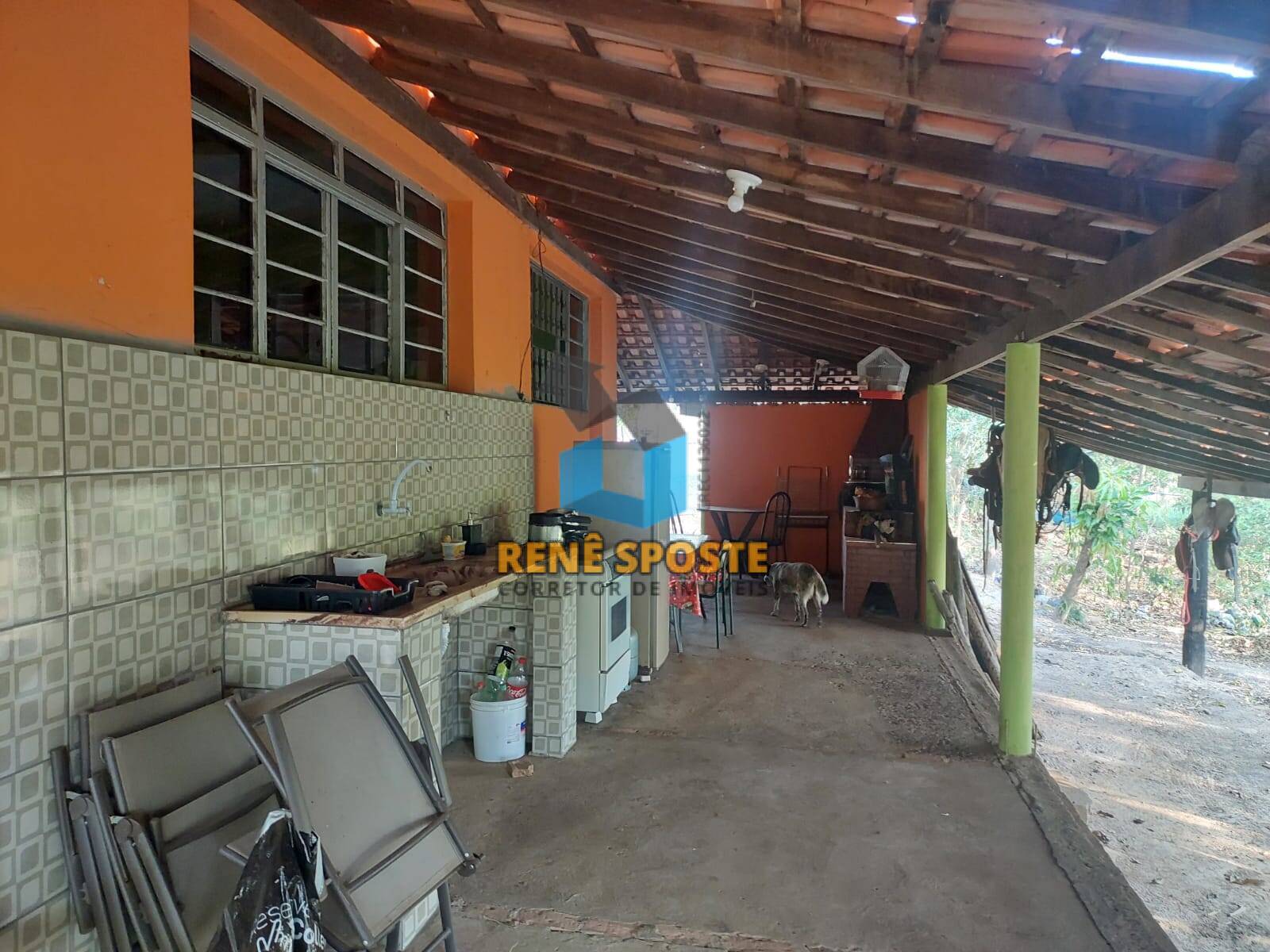 Fazenda à venda com 3 quartos, 1m² - Foto 18