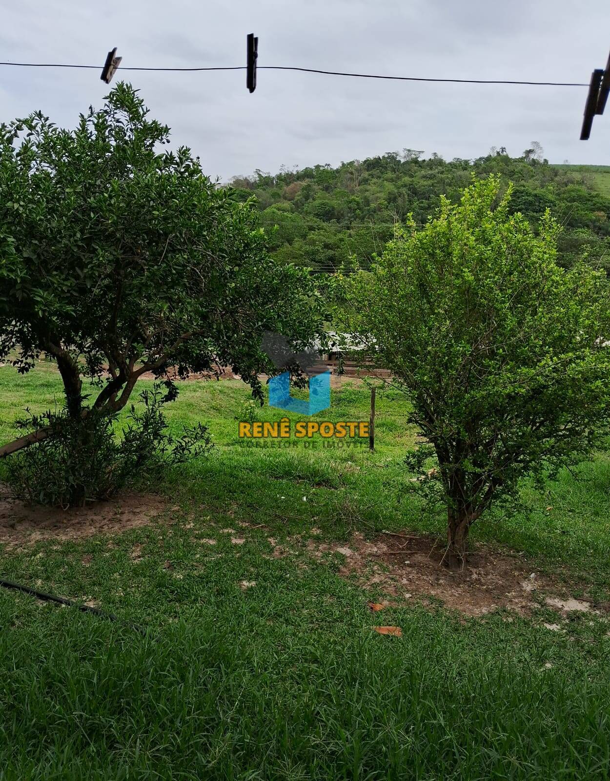 Fazenda à venda com 2 quartos, 100m² - Foto 7